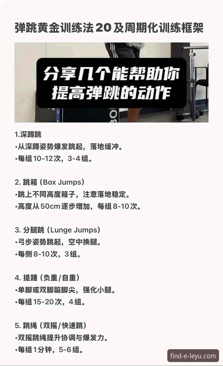 资深用户分享乐鱼体育使用教程：从入门到精通的实战经验